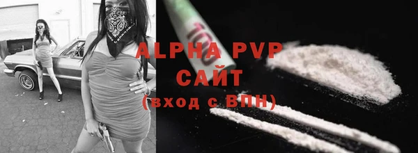 гидра Ладушкин