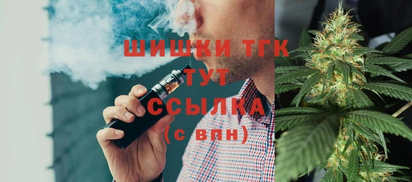 ECSTASY Кукмор