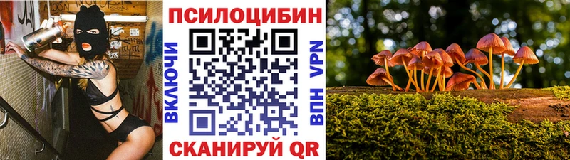 цена   Новосибирск  Галлюциногенные грибы мицелий 
